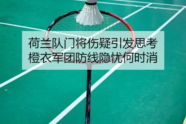 荷兰队门将伤疑引发思考 橙衣军团防线隐忧何时消